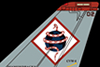 VF-102 Diamond backs